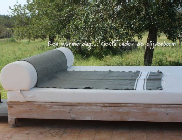 under-the-olive-tree.jpg