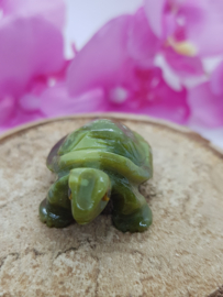 Schildpad Serpentijn
