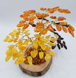 Barnsteen/Amber boom middel