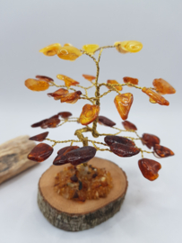 Barnsteen/Amber boom klein - nr.2