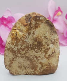 Jaspis Polychroom half gepolijst half ruw