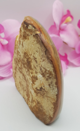 Jaspis Polychroom half gepolijst half ruw