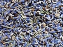 Lavendel bloesem thee