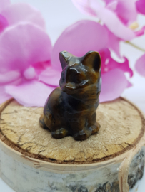 Tijgeroog  poes zitten schuin - nr. 3