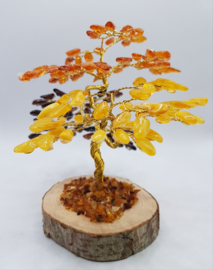 Barnsteen/Amber boom middel