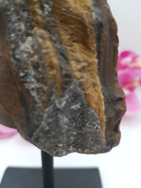 Tijgeroog op standaard