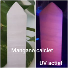UV Zaklamp - Blacklight incl. batterij