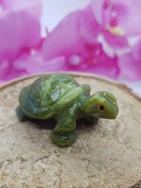 Schildpad Serpentijn