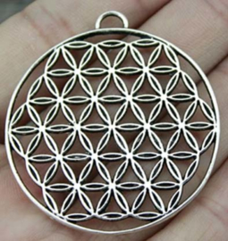 Flower of life - groot