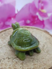 Schildpad Serpentijn