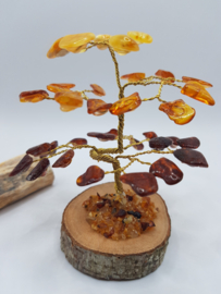Barnsteen/Amber boom klein - nr.2