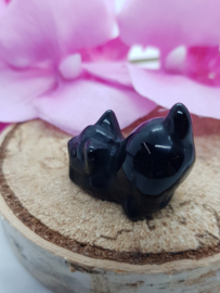 Poesje Obsidiaan staartje