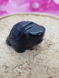 Onyx schildpadje