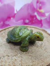 Schildpad Serpentijn