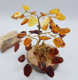 Barnsteen/Amber boom klein - nr.2