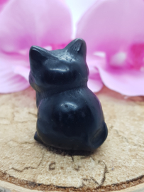 Poesje Obsidiaan zittend