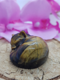 Tijgeroog  poesje liggend nr.3