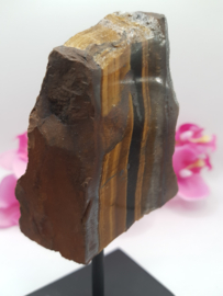 Tijgeroog op standaard