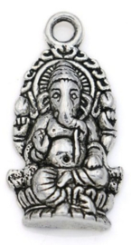 Ganesha bedel klein