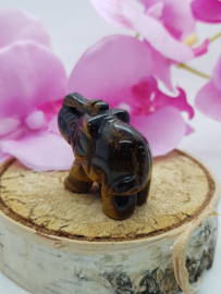 Olifant Tijgeroog