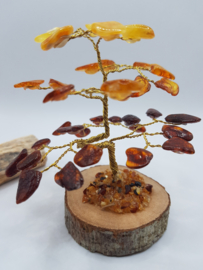 Barnsteen/Amber boom klein - nr.2