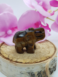 Olifant Tijgeroog