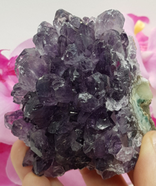 Amethyst  ruw staand