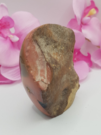 Jaspis Polychroom half gepolijst half ruw