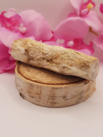 Versteend hout stam - nr. 3