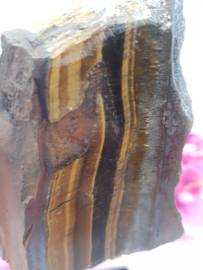 Tijgeroog op standaard