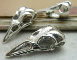 Raven skull - zilver