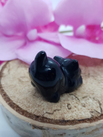 Poesje Obsidiaan staartje