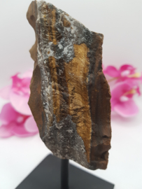 Tijgeroog op standaard