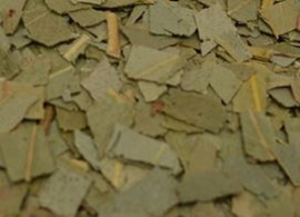 Eucalyptusblad thee - 50 gram