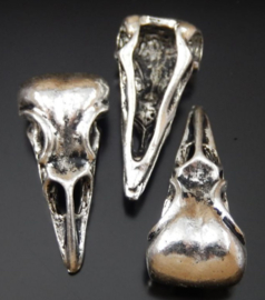 Raven skull - zilver