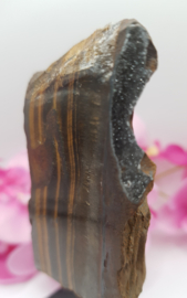 Tijgeroog op standaard