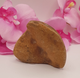 Jaspis Polychroom half gepolijst half ruw