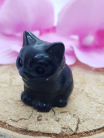 Poesje Obsidiaan zittend