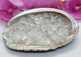 Abalone schelp met op- en ontlaad setje