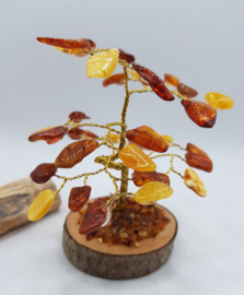 Barnsteen/Amber boom klein - nr.1