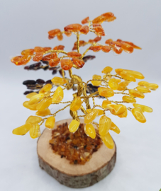 Barnsteen/Amber boom middel