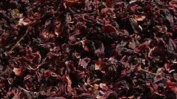 Hibiscus thee