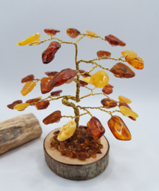 Barnsteen/Amber boom klein - nr.1