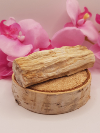 Versteend hout stam - nr. 3