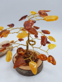 Barnsteen/Amber boom klein - nr.1