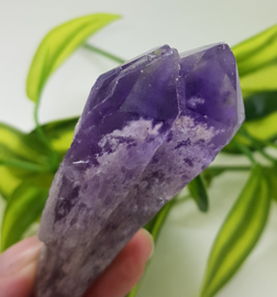 Amethyst  punt Bahia