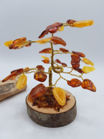 Barnsteen/Amber boom klein - nr.1