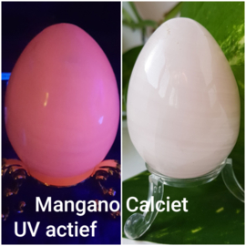 UV Zaklamp - Blacklight incl. batterij