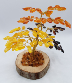 Barnsteen/Amber boom middel