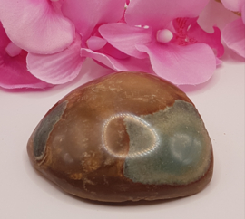 Jaspis Polychroom half gepolijst half ruw